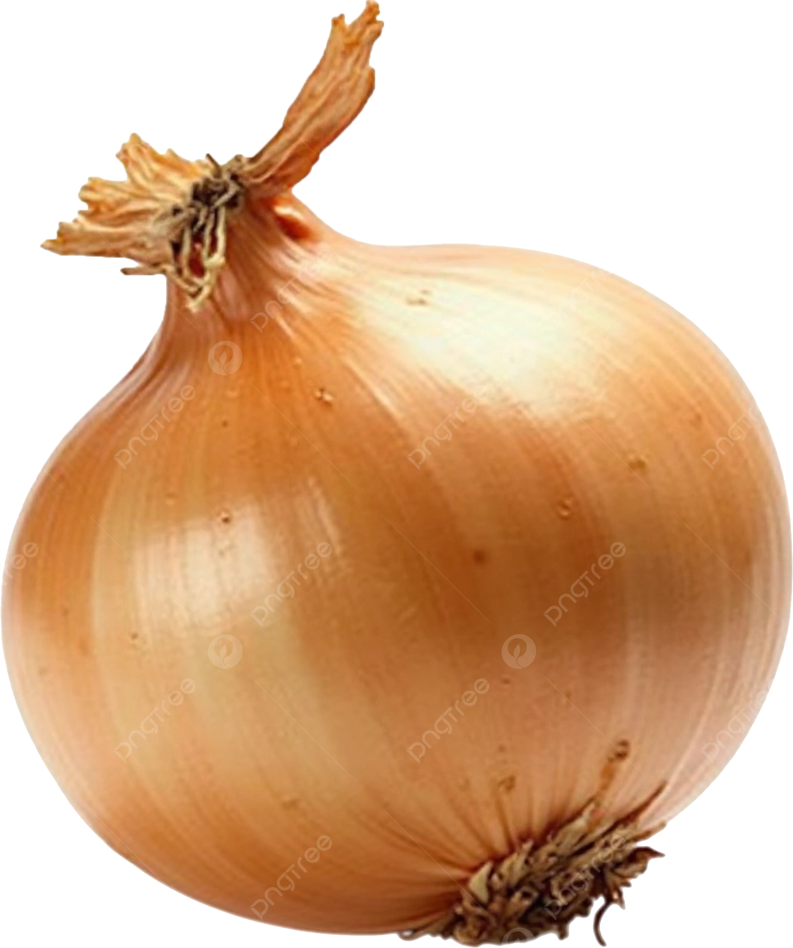 Golden Onion