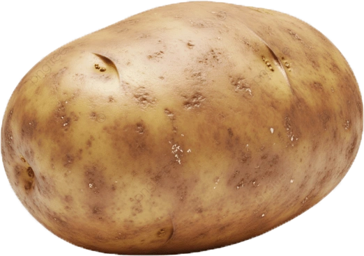 Potato